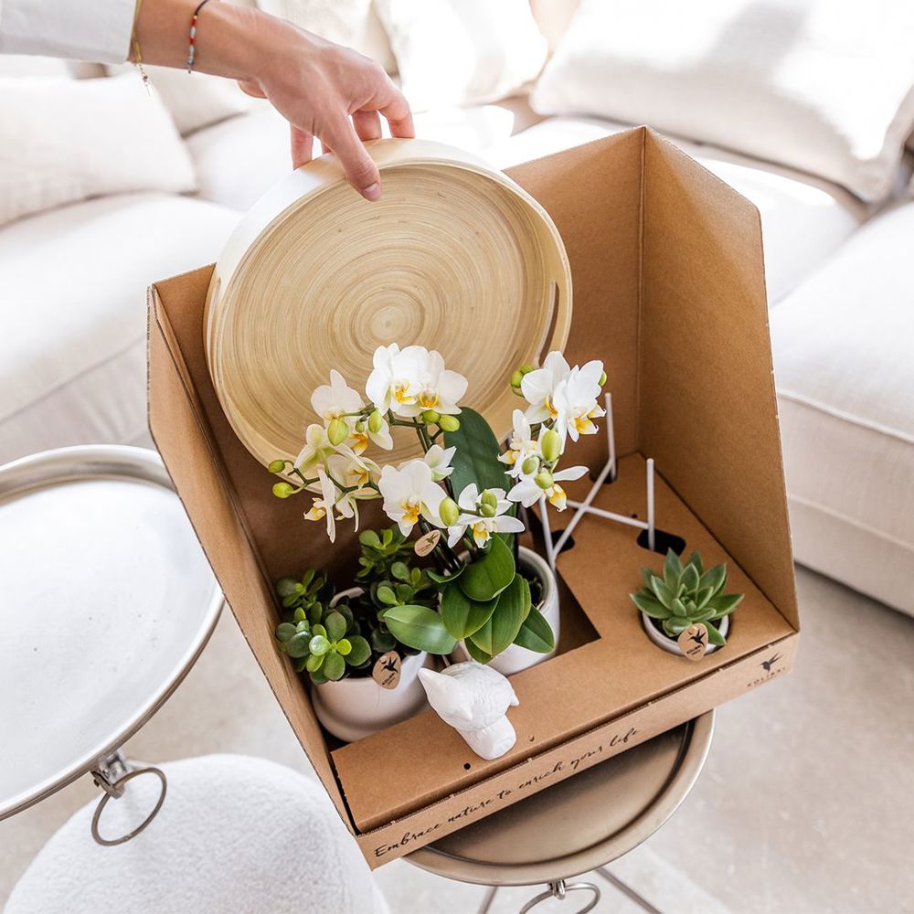 Botanical Giftset large - White Serenity