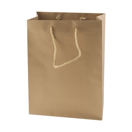 Glänzende Papiertasche, 220x290x100 mm