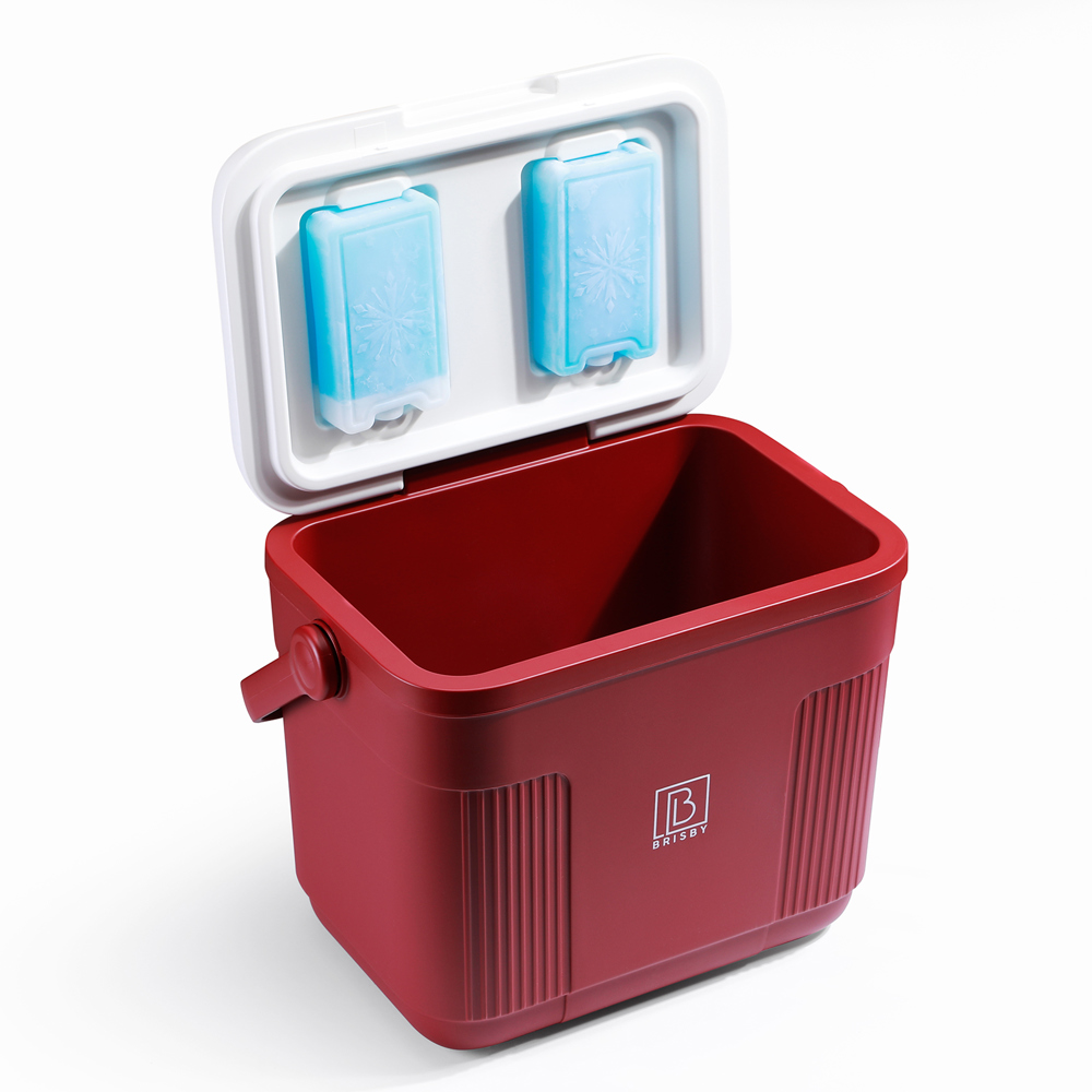 Brisby 22L Kühlbox - Innovativ und individuell anpassbar